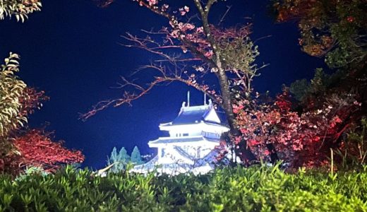 高岡町の天ケ城公園は桜で有名。宮崎県宮崎市